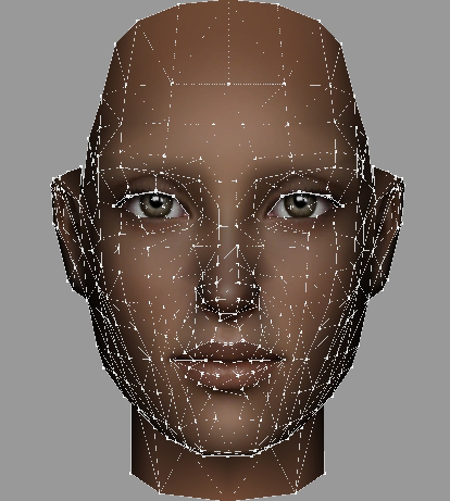 Default face mesh